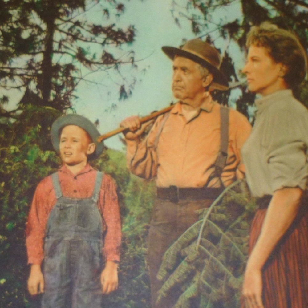 1958 Original Lobby Card Money Women and‎ Guns Jock Mahoney Kim Hunter 11x14